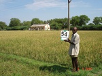 6285054a-irrgiated-supplemental-groundwater-rice-sugarcane-doublecrop.jpg