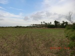 2012-09-26_20-50-04_CIMG1050.JPG