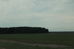 2022-05-26_14-29-03_3AE1684F-C014-4E38-8059-0B7C63C0514C.jpeg