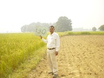 6753gt190-cropland-1.jpg