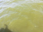 2012-09-21_14-26-23_CIMG0119.JPG