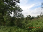2012-09-26_20-49-57_CIMG1057.JPG