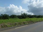 20448P1020305.JPG