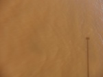 2012-09-21_14-25-44_CIMG3139.JPG