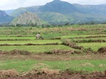 2012-09-07_10-20-00_CIMG6710.JPG