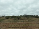 35809DSC02573.JPG