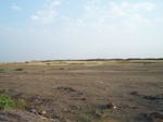 515122042008(100).JPG