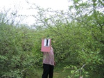 819801-shrubland-2.5ma.jpg