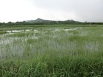 2012-09-07_10-16-17_CIMG6686.JPG