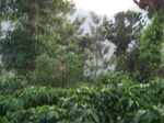 549511052008(85).JPG
