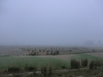 41883CIMG9085.JPG