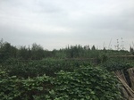 2017-09-10_06-57-46_0214C05A-2B66-4184-9D2E-310622F5AA97.jpg