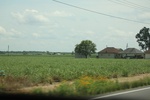 2022-06-11_18-08-27_D722C14C-3BE8-4924-9599-DA0DD7A9A6AD.jpeg