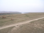 4553RIMG0006-3.JPG