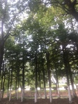 2017-09-12_12-58-31_9DBD5BF6-DCDE-4C4C-A7B8-537F1833BAD2.jpg