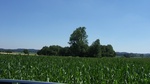 2016-07-25_03-26-56_DSCF1552.JPG