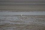 4134IMG_8771.JPG
