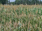 482502052008(22).JPG