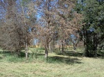 2012-09-19_15-13-27_TX-LV-21-1.jpg