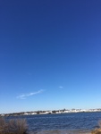 2017-02-19_14-04-18_471B0EE7-E625-49F3-B54F-B926F7E80F68.jpg