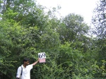 836769-forest-remnant-degraded-a.jpg