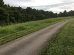 2017-07-02_07-51-12_E397FC70-380C-4391-8B1A-2CCC3DD03D15.jpg