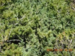 2012-09-27_14-25-52_157.JPG