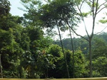 5649100_1089.JPG
