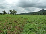 18836P1000675.JPG