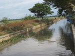 15657IMG_4729.JPG