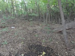 2012-09-24_10-40-21_DSC03047.JPG
