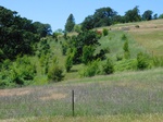 2018-05-28_18-49-47_2018-05-27_Erratic_RockW.JPG
