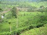 13658IMG_3919.JPG