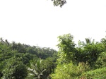 14713IMG_5097.JPG