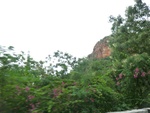 40614CIMG6540.JPG