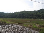14688IMG_5069.JPG