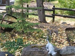 2012-09-27_21-43-21_MT-MS-1-3.JPG