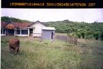 40469Anh2520.JPG