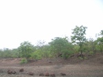 4023RIMG0327.JPG