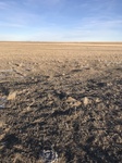 2018-01-02_16-50-47_DCD1B807-E512-4EB0-AB0B-26BDF83850BB.jpg