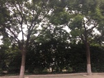 2017-09-10_06-44-20_DF8CDAB0-4E5B-4DE9-AF12-5EF773B7D725.jpg