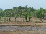 500120042008(15).JPG