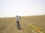 6466gt012-cropland-1.jpg