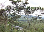 5531100_0906.JPG