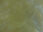2012-09-21_14-26-24_CIMG0007.JPG