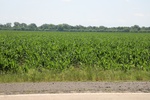 2022-06-11_15-46-11_3078247D-35F8-455D-91AB-04FD0B0E77BC.jpeg