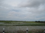 14508IMG_4867.JPG