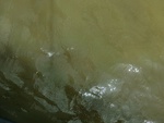 58091CIMG2385.JPG