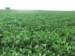 2012-08-30_01-08-37_CIMG2076.JPG