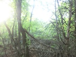 2012-09-21_16-12-25_CIMG2998.JPG